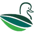 Avian Brands logo